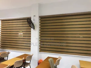 Professional Office Zebra Roller Blinds - Privacy Shades
