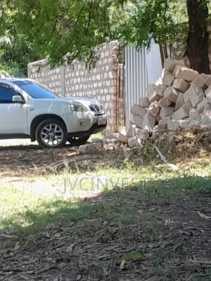 Nissan X-Trail 2023 White