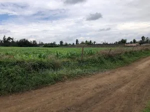 6 Acre Prime Corner Property in Mangu , Nakuru County