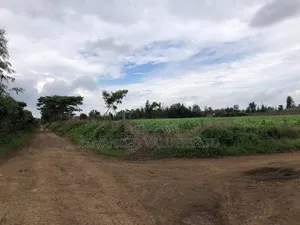 6 Acre Prime Corner Property in Mangu , Nakuru County