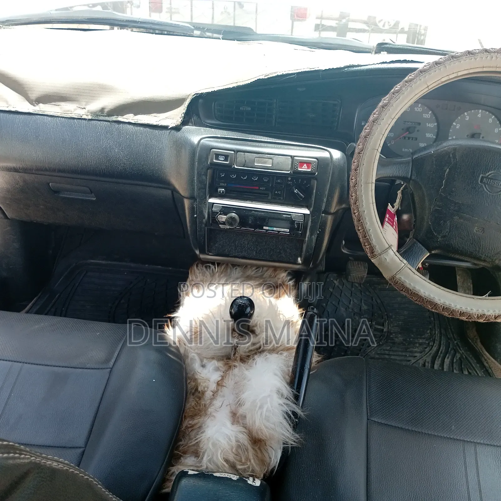 Nissan Primera 2000 White