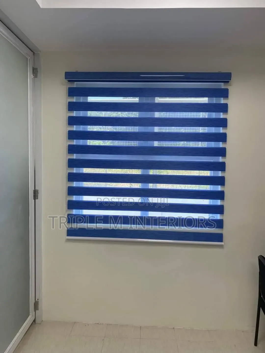Blue Zebra Roller Blinds for Commercial Spaces