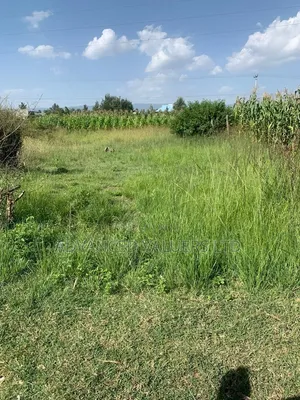 Pakawa Pipeline Plot for Sale, Nakuru