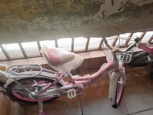 Ladies Bicycle Size 20 Color Pink