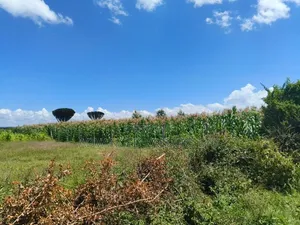 Exceptional Residential Land for Sale - Eastgate Ndiuni Nakuru