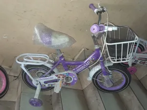Ladies Bike Size 12 Color Purple and Pink