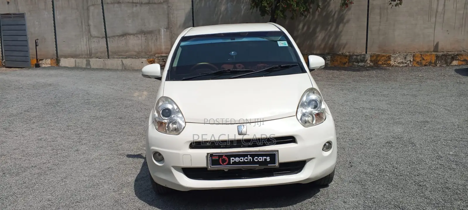 Toyota Passo 2010 White