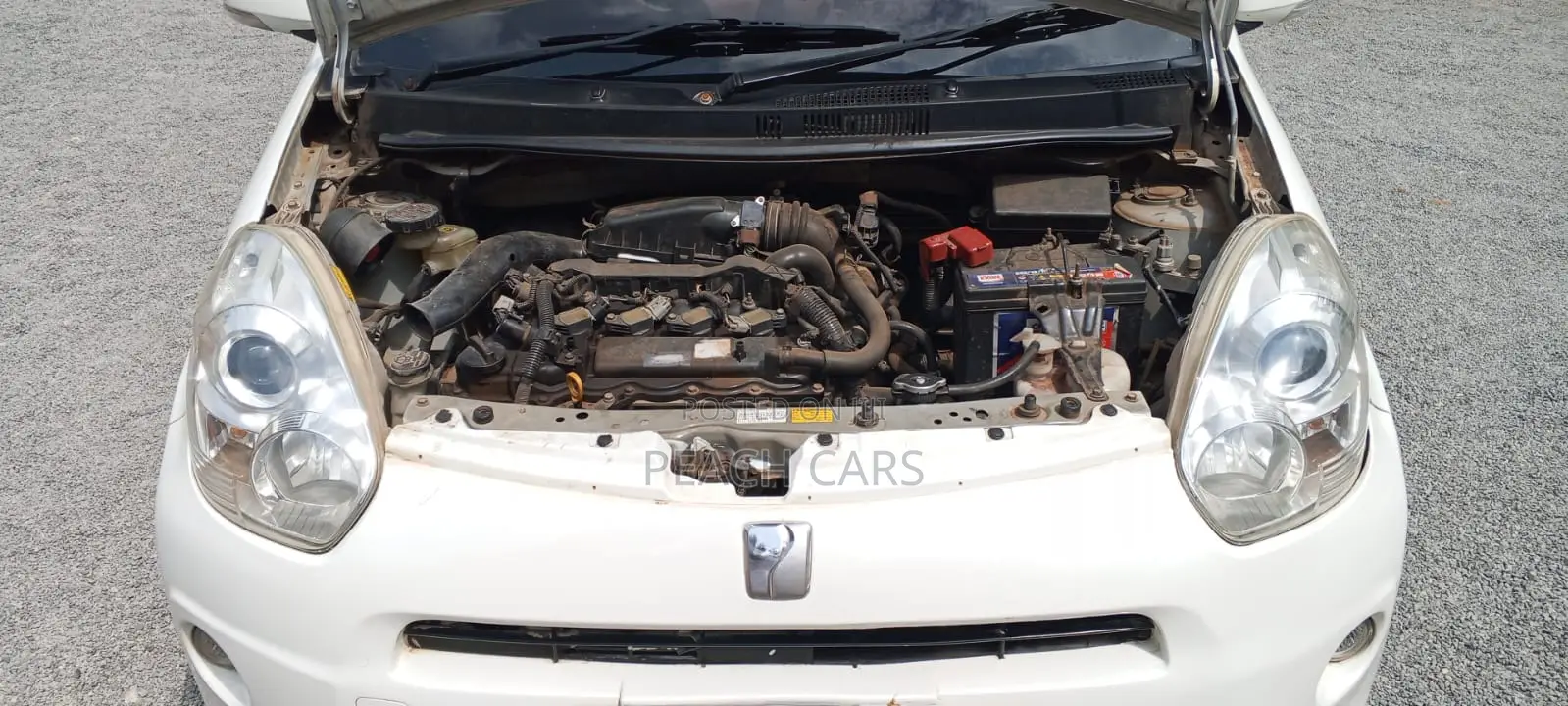 Toyota Passo 2010 White