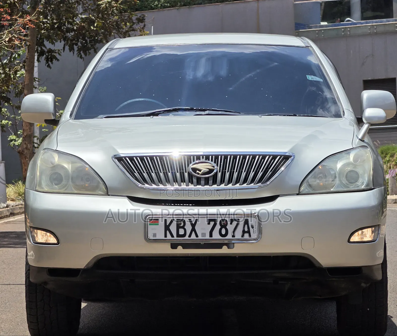 Toyota Harrier 2006 Beige