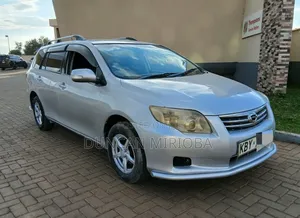 Toyota Corolla Fielder 2007 Silver