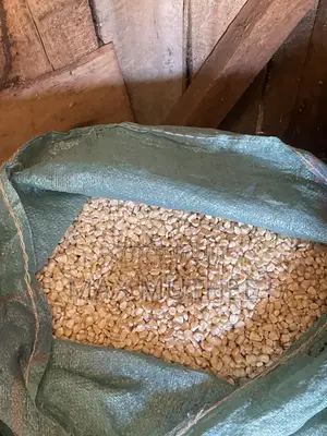 Maize 90kg