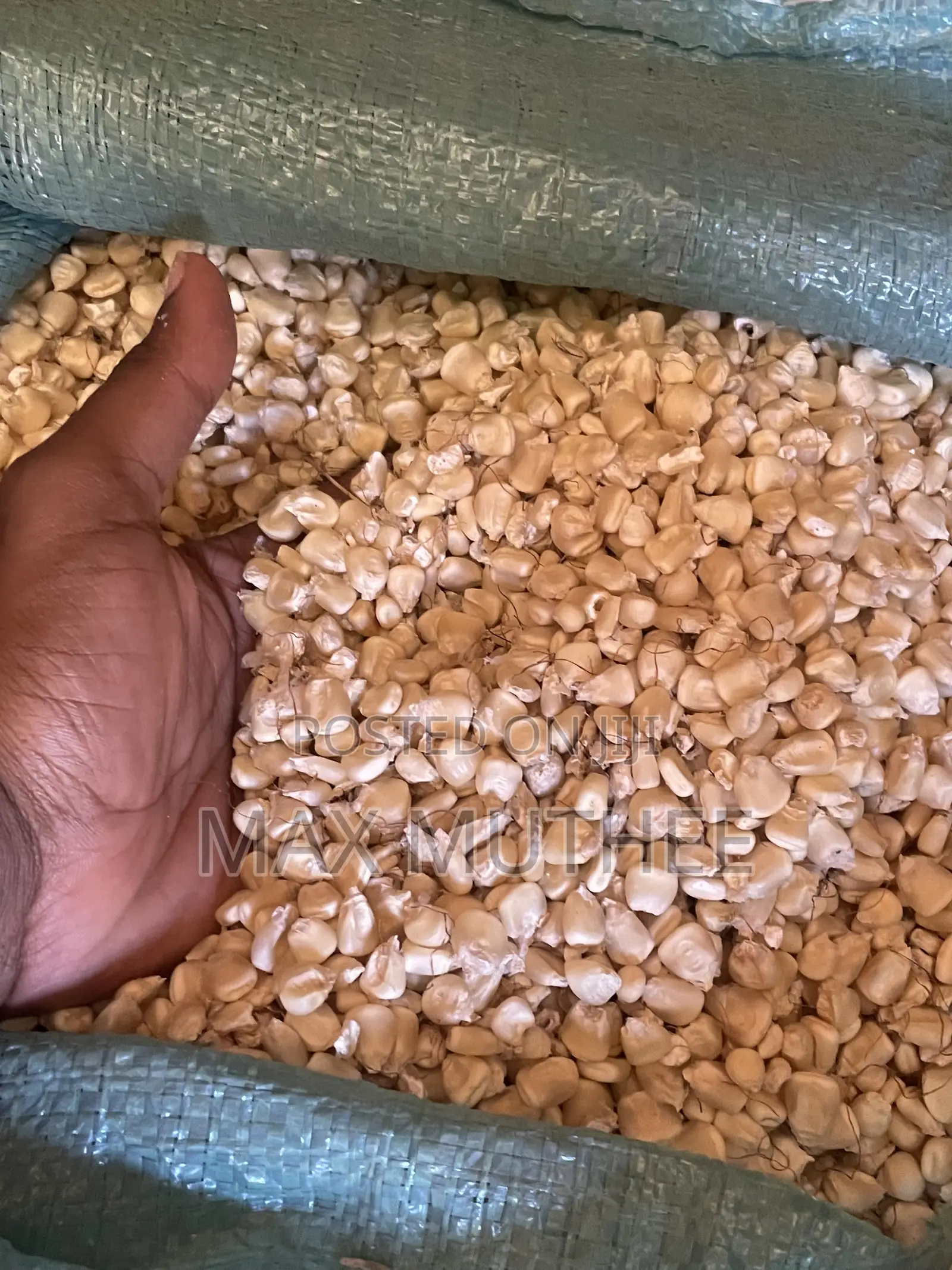 Maize 90kg