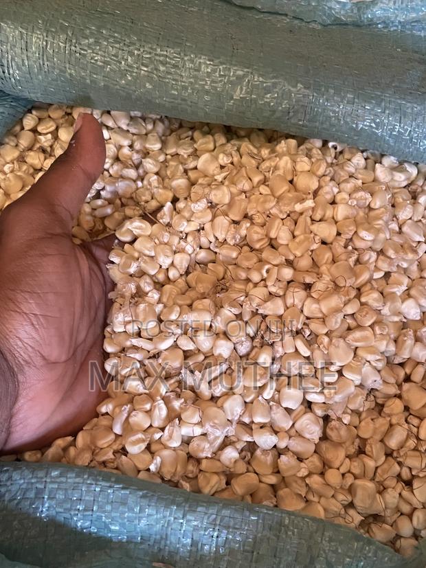Maize 90kg - thumbnail 2