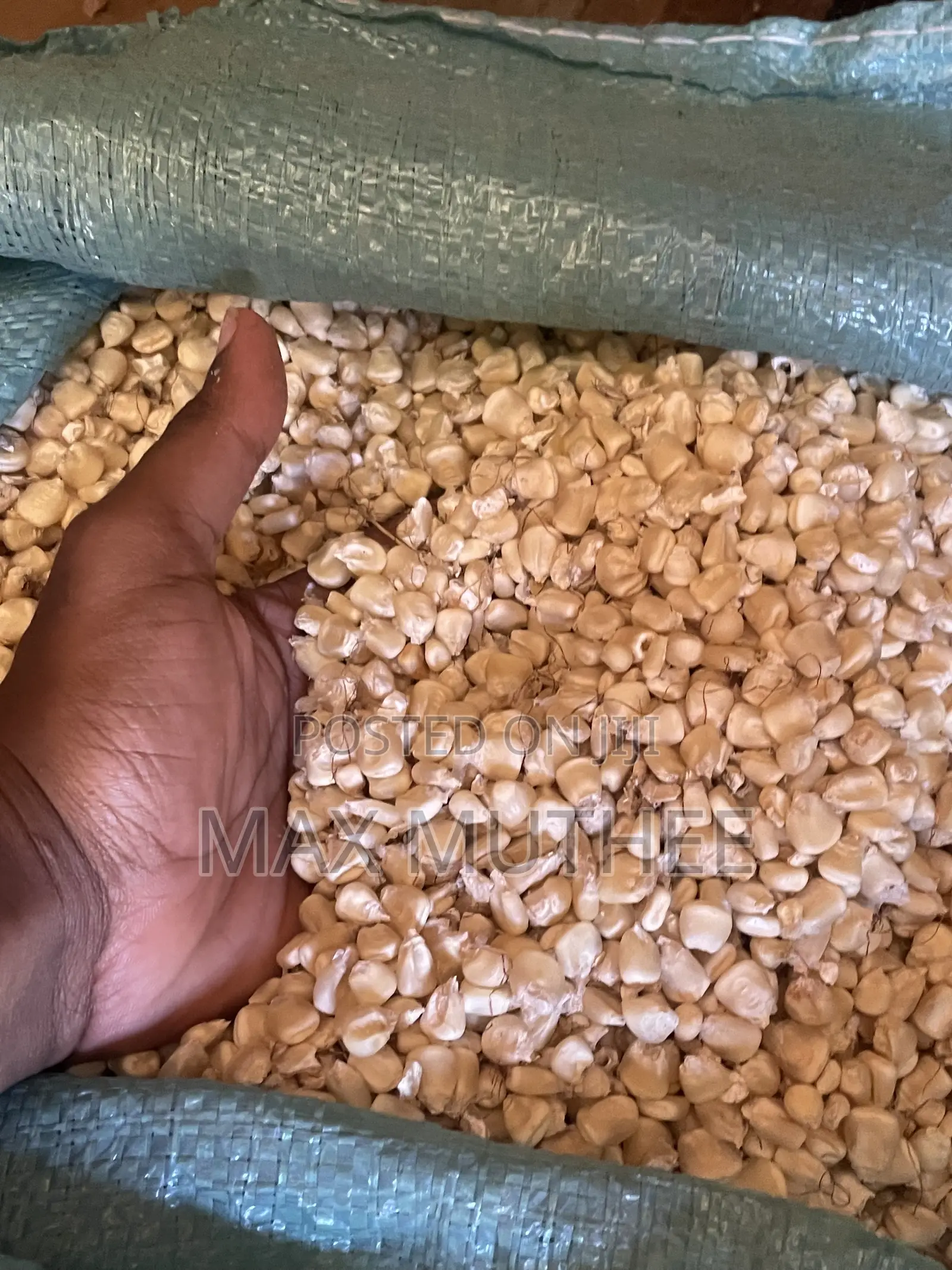 Maize 90kg