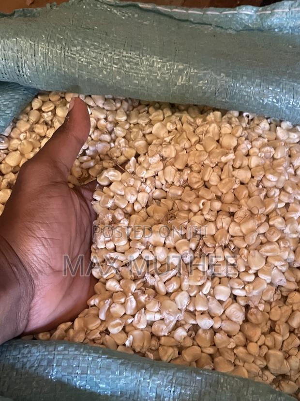 Maize 90kg - thumbnail 3