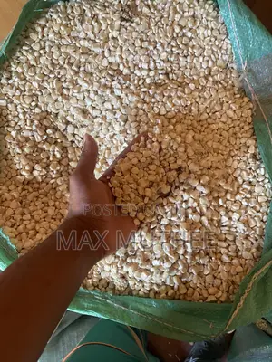 Maize 90kg