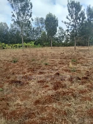 1 Acre Land on Sale at Thika -Maguguni