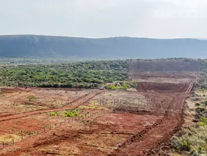 50x100 Plot in Ngong | TITLE DEED IN 30 DAYS | KSh