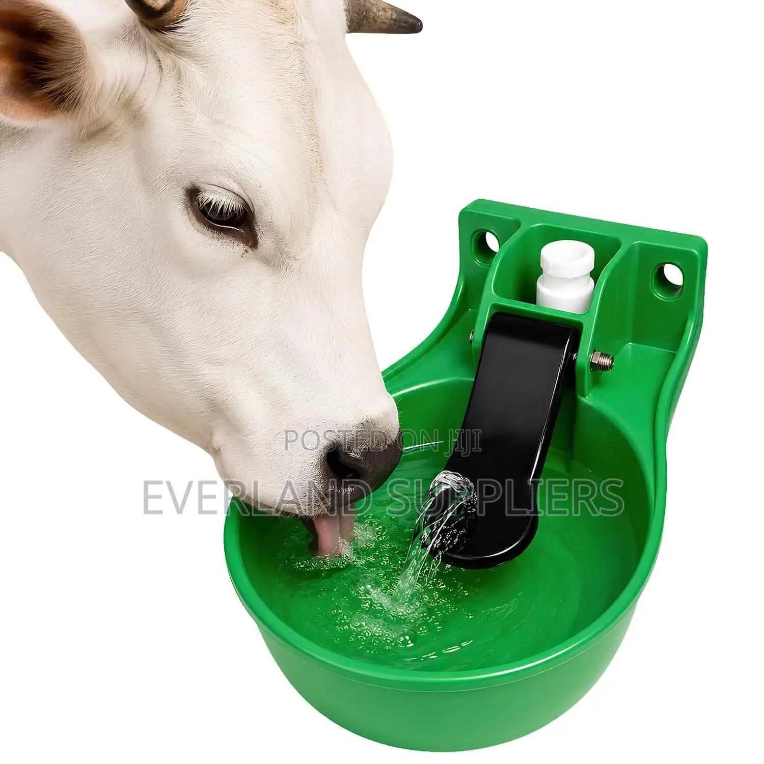 Plastic Cow Drinkers - Easy-Clean Plastic