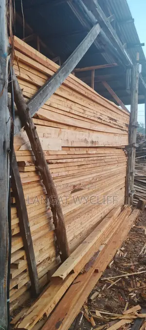 Wooden Planks