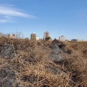 Northern Bypass Plots