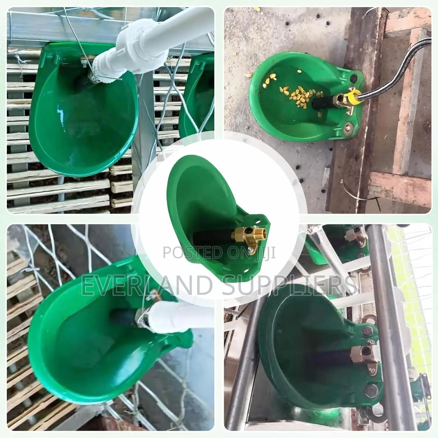Farm-Grade Plastic Cattle Drinker