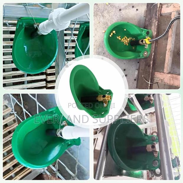 Farm-Grade Plastic Cattle Drinker - main view