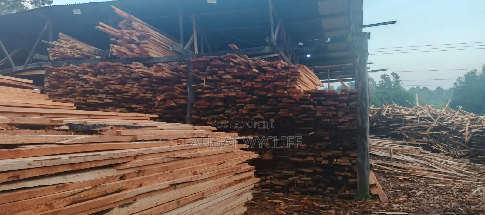 Timber Trails