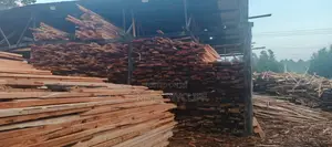 Timber Trails