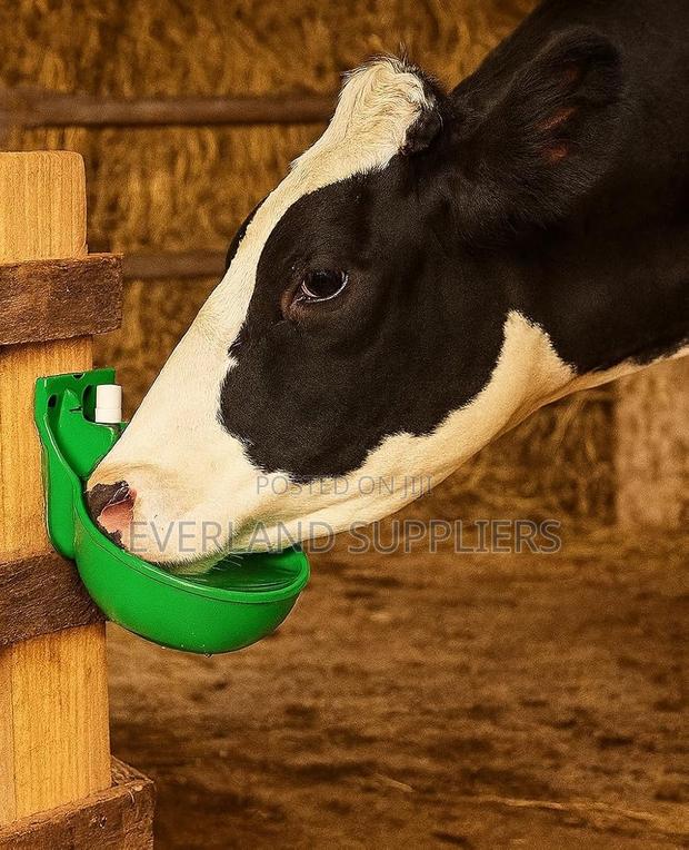 Plastic Cow Drinker - Durable - main view