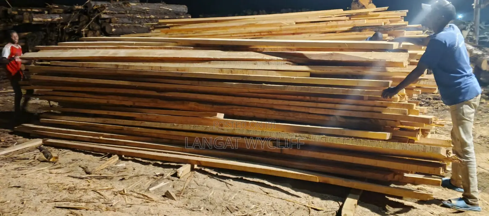 The Wood Lab