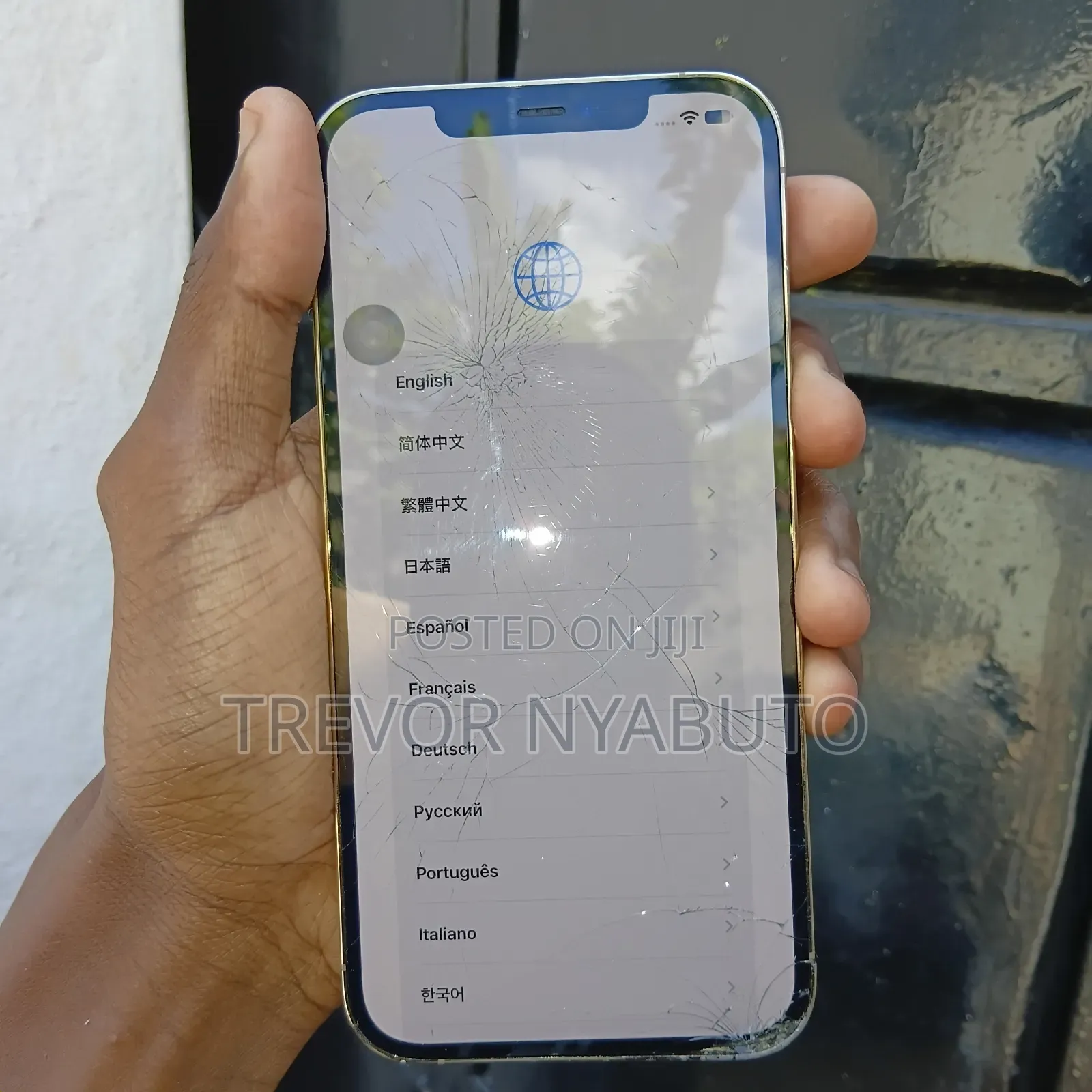 Apple iPhone 12 Pro Max 256 GB Gold