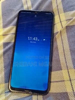 Nokia C21 32 GB Gray