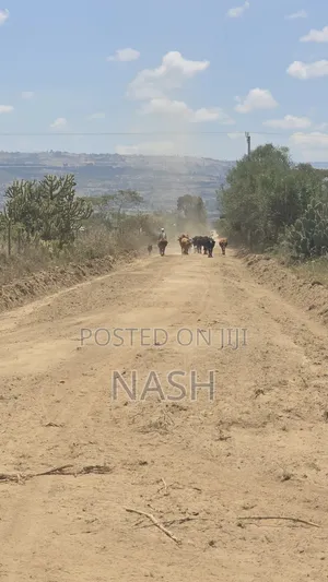 50 X 100 Plots in JB Pipeline Nakuru