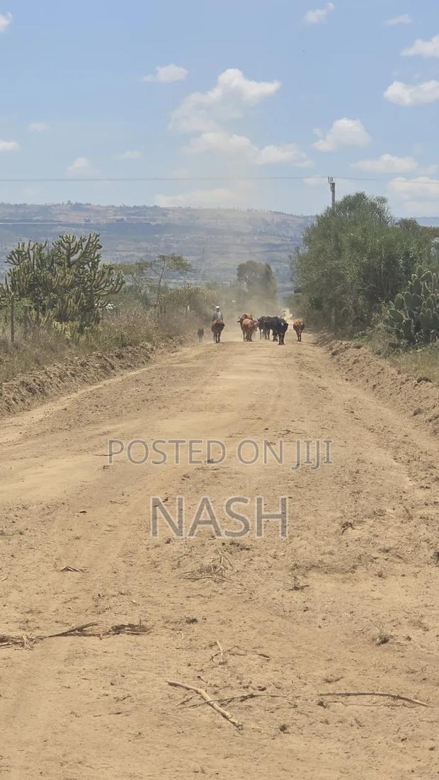 50 X 100 Plots in JB Pipeline Nakuru