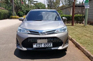 Toyota Axio 2019 Silver
