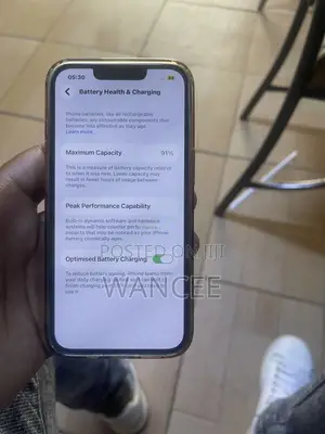 Apple iPhone 13 256 GB Gray