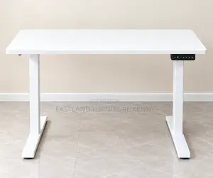 Modern White Electric Height-Adjustable Standing Desk