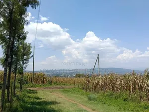 Ngata Ridge, Nakuru