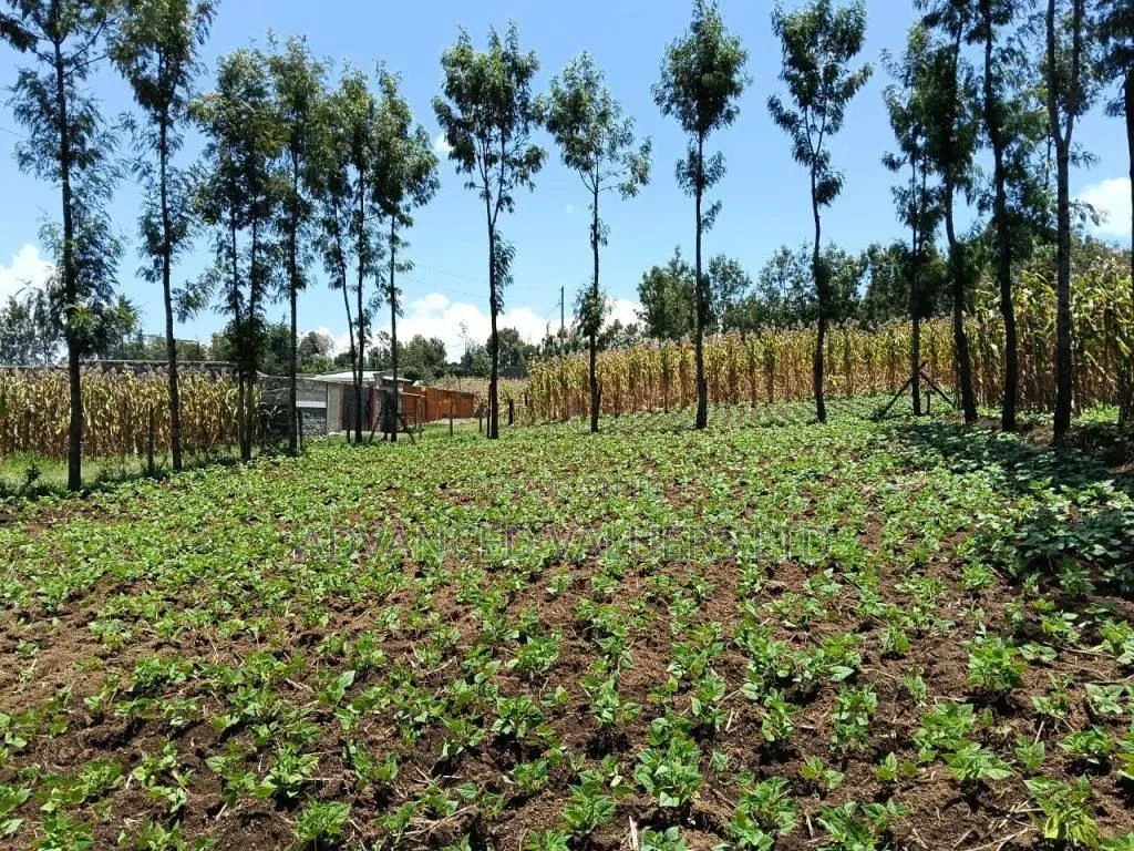 Ngata Ridge, Nakuru