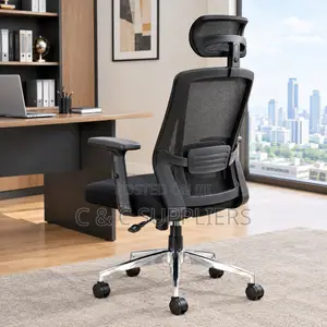 Orthopedic Manager's Mesh Chair