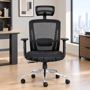 Orthopedic Manager's Mesh Chair