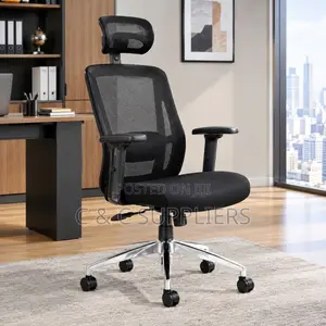 Orthopedic Manager's Mesh Chair