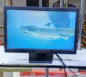 Plana 22inch With HDMI