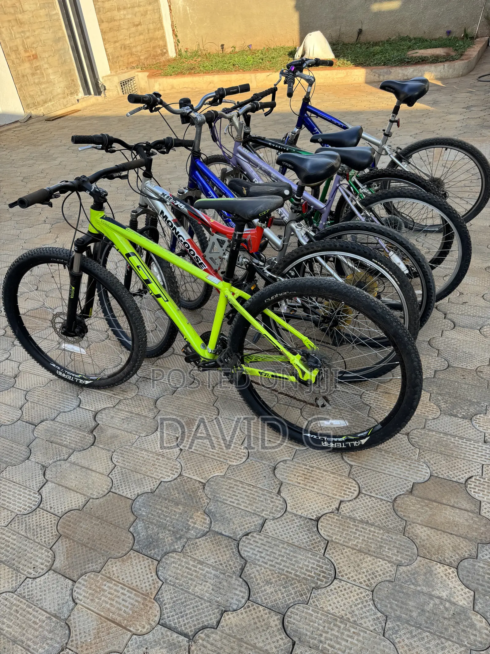 Bicyckes Ex USA