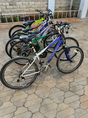 Bicyckes Ex USA