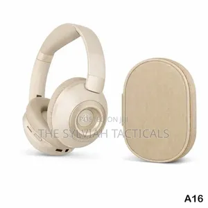 Experience Powerful Sound and All-Day Comfort With the Z.PM
