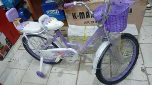 Purple Bike Size for Girls
