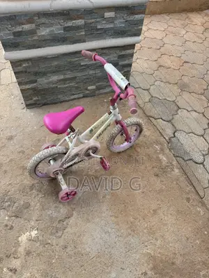 Bicyckes Ex USA