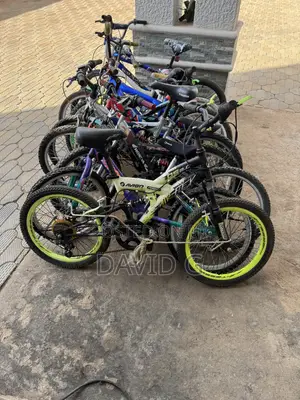 Bicyckes Ex USA
